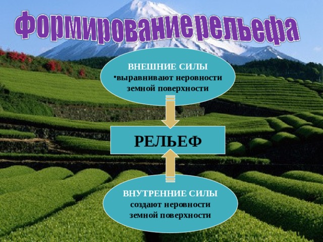 ВНЕШНИЕ СИЛЫ выравнивают неровности земной поверхности РЕЛЬЕФ ВНУТРЕННИЕ СИЛЫ создают неровности земной поверхности