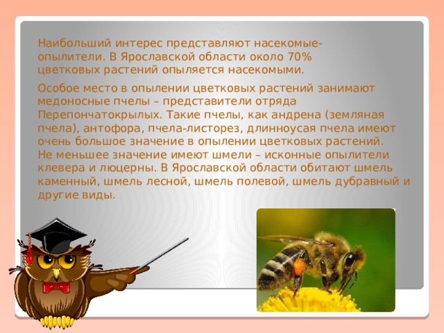 Наибольший интерес представляют насекомые-опылители. В Ярославской области около 70% цветковых растений опыляется насекомыми. Особое место в опылении цветковых растений занимают медоносные пчелы – представители отряда Перепончатокрылых. Такие пчелы, как андрена (земляная пчела), антофора, пчела-листорез, длинноусая пчела имеют очень большое значение в опылении цветковых растений. Не меньшее значение имеют шмели – исконные опылители клевера и люцерны. В Ярославской области обитают шмель каменный, шмель лесной, шмель полевой, шмель дубравный и другие виды.