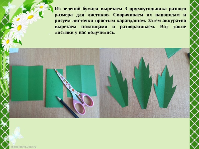Из зеленой бумаги вырезаем 3 прямоугольника разного размера для листиков. Сворачиваем их напополам и рисуем листочки простым карандашом. Затем аккуратно вырезаем ножницами и разворачиваем. Вот такие листики у нас получились.