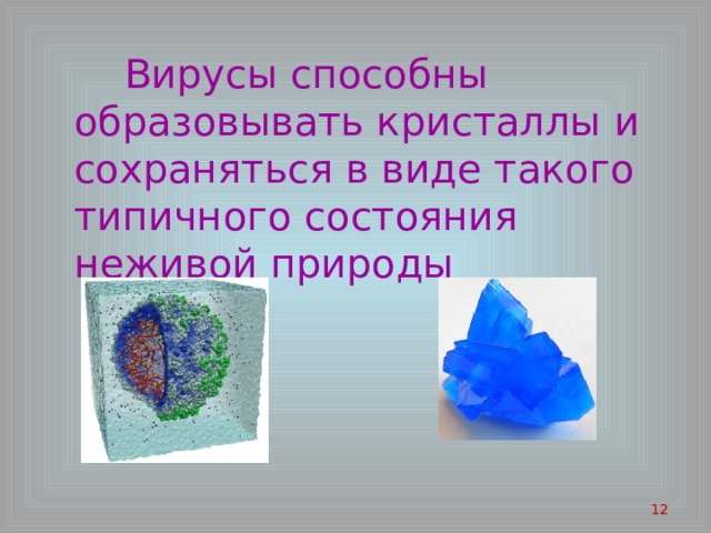 Вирусы способны образовывать кристаллы и сохраняться в виде такого типичного состояния неживой природы