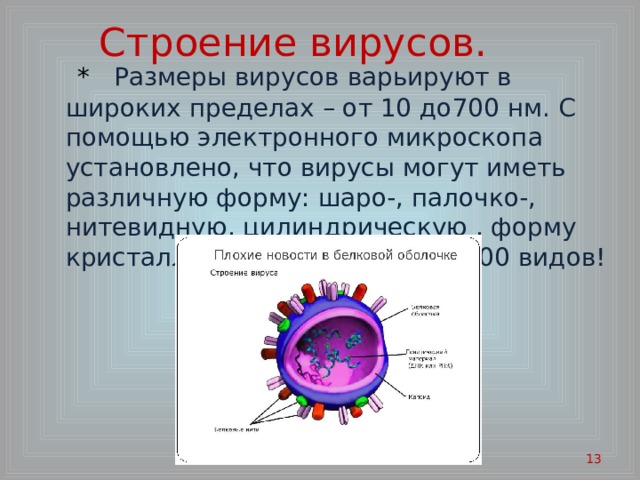 Вирусы урок биологии