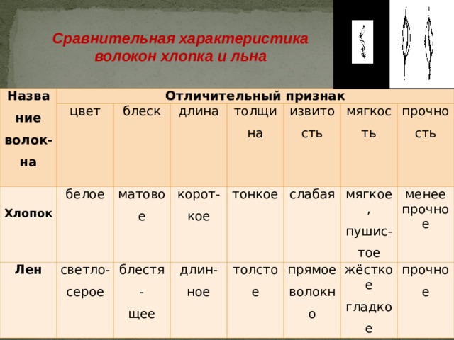 Сравнительная характеристика волокон хлопка и льна Название волок-на Отличительный признак цвет  Хлопок белое блеск Лен светло- серое длина матовое блестя- щее корот- кое толщина длин- ное извитость тонкое мягкость толстое слабая прямое волокно прочность мягкое, пушис-тое жёсткое гладкое менее прочное прочное