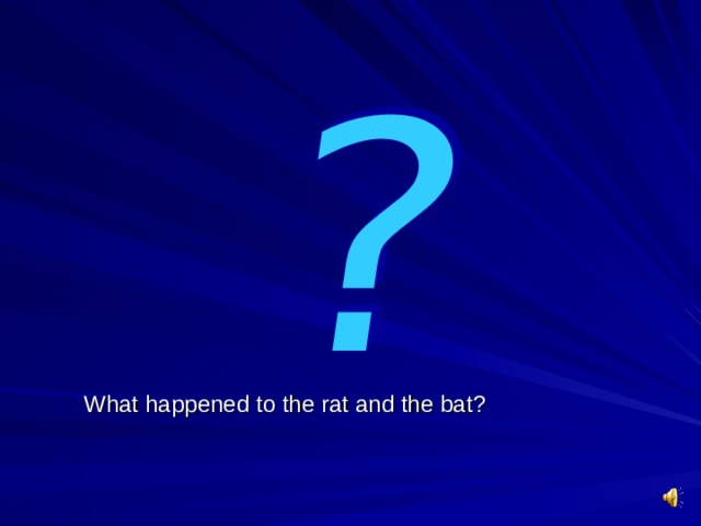 What happened to the rat and the bat?