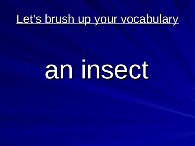 Let’s brush up your vocabulary  an insect