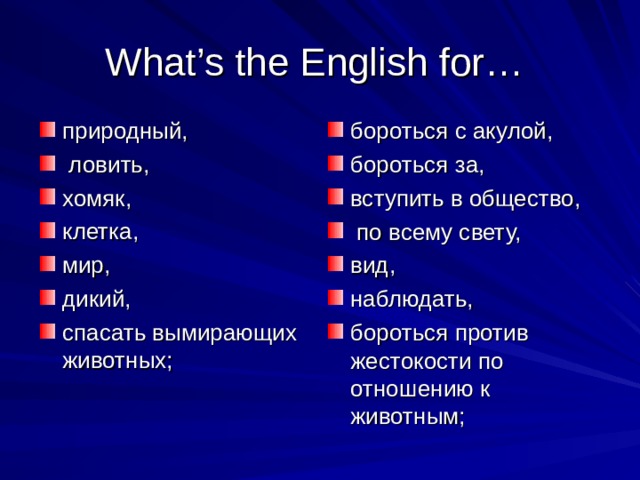 What’s the English for…