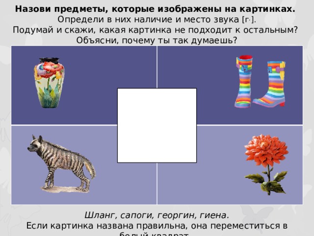 Назови предметы, которые изображены на картинках. Определи в них наличие и место звука [г , ]. Подумай и скажи, какая картинка не подходит к остальным? Объясни, почему ты так думаешь? Шланг, сапоги, георгин, гиена. Если картинка названа правильна, она переместиться в белый квадрат.