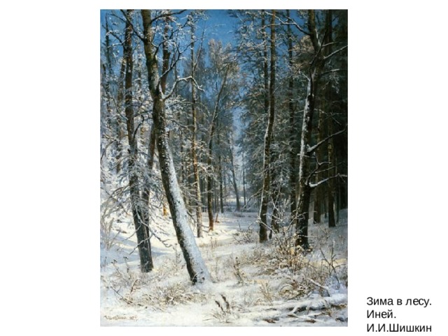 Зима в лесу. Иней. И.И.Шишкин