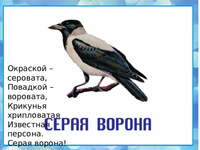 Окраской – серовата,  Повадкой – воровата,  Крикунья хрипловатая  Известная персона.   Серая ворона!