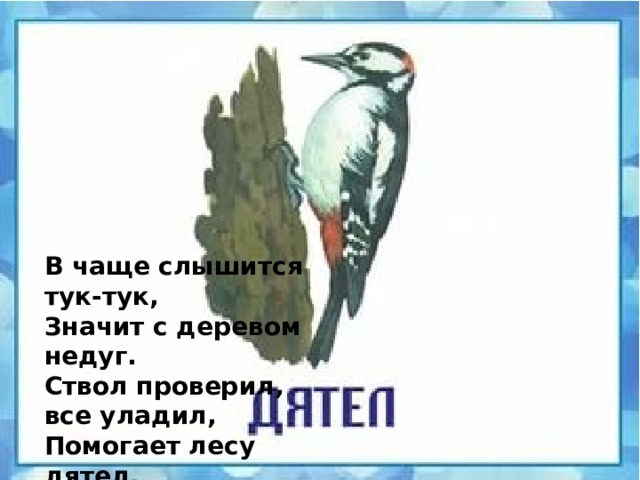 В чаще слышится тук-тук,  Значит с деревом недуг.  Ствол проверил, все уладил,  Помогает лесу дятел.