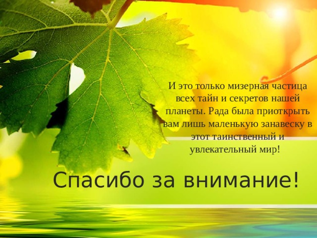 И это только мизерная частица всех тайн и секретов нашей планеты. Рада была приоткрыть вам лишь маленькую занавеску в этот таинственный и увлекательный мир!   Спасибо за внимание!