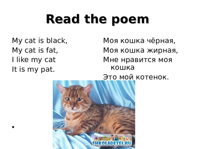 Read the poem My cat is black, My cat is fat, I like my cat It is my pat. Моя кошка чёрная, Моя кошка жирная, Мне нравится моя кошка Это мой котенок.