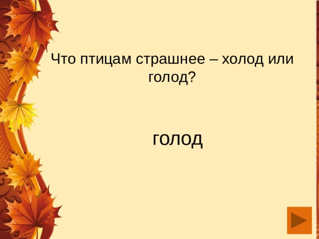 Что птицам страшнее – холод или голод?  голод