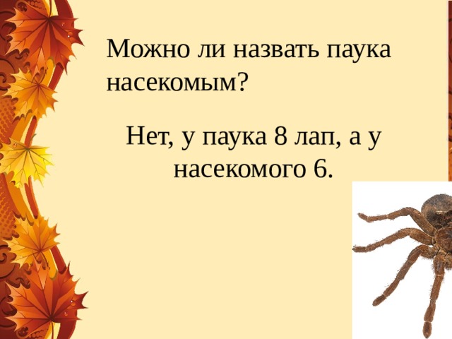 Можно ли назвать паука насекомым? Нет, у паука 8 лап, а у насекомого 6.