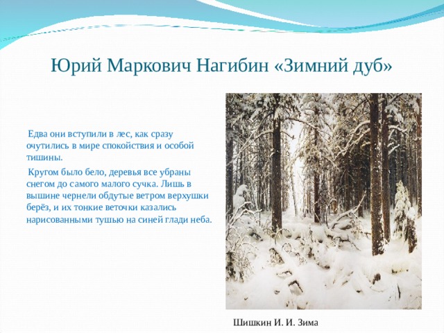Юрий Маркович Нагибин «Зимний дуб»  Едва они вступили в лес, как сразу очутились в мире спокойствия и особой тишины.  Кругом было бело, деревья все убраны снегом до самого малого сучка. Лишь в вышине чернели обдутые ветром верхушки берёз, и их тонкие веточки казались нарисованными тушью на синей глади неба. Шишкин И. И. Зима