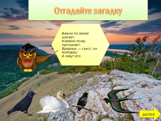 Важно по земле шагает, Клювом почву протыкает, Вредных — съест, он молодец! А зовут его далее