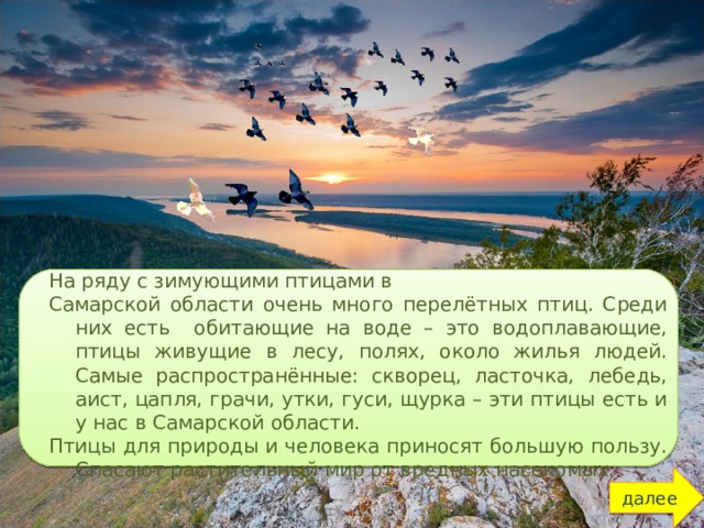 На ряду с зимующими птицами в Самарской области очень много перелётных птиц. Среди них есть обитающие на воде – это водоплавающие, птицы живущие в лесу, полях, около жилья людей. Самые распространённые: скворец, ласточка, лебедь, аист, цапля, грачи, утки, гуси, щурка – эти птицы есть и у нас в Самарской области. Птицы для природы и человека приносят большую пользу. Спасают растительный мир от вредных насекомых. далее