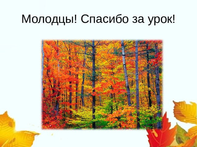 Молодцы! Спасибо за урок!