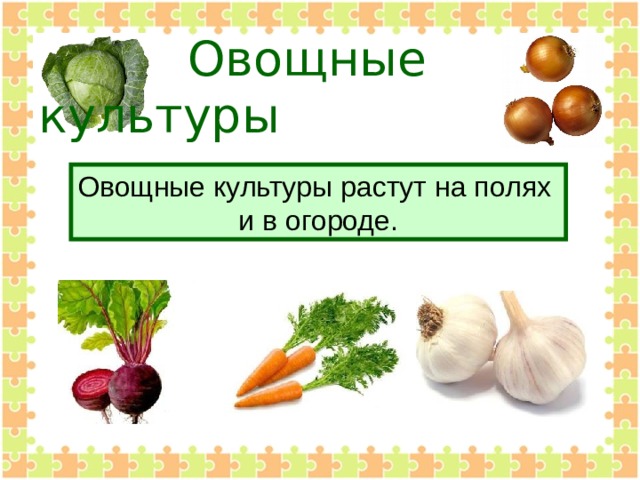 Овощные культуры Овощные культуры растут на полях и в огороде.