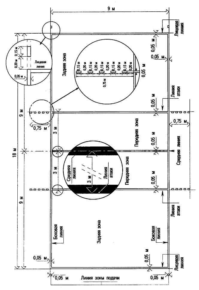 Чертеж волейбольной площадки с размерами и зонами