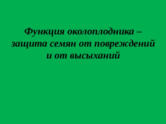 Функция околоплодника – защита семян от повреждений и от высыханий