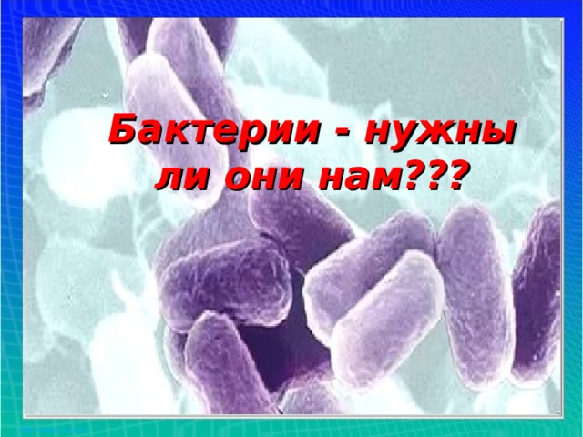 Бактерии - нужны ли они нам???