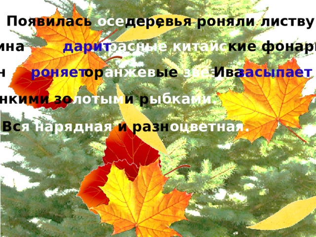 деревья роняли листву. Появилась осенью , Осина красные  китайс кие фонарики. дарит Клён ор анжев ые звёзды. роняет Ива засыпает тонкими зо лотым и р ыбками. Вс я нарядная и разн оцветная.