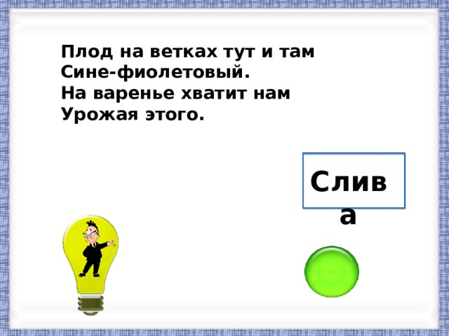 Плод на ветках тут и там Сине-фиолетовый. На варенье хватит нам Урожая этого. Слива