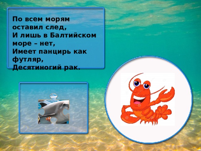 По всем морям оставил след, И лишь в Балтийском море – нет, Имеет панцирь как футляр, Десятиногий рак.