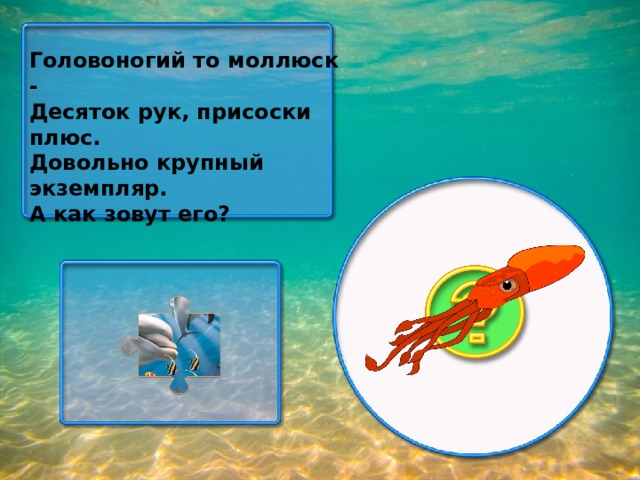 Головоногий то моллюск - Десяток рук, присоски плюс. Довольно крупный экземпляр. А как зовут его?