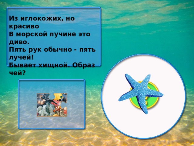 Из иглокожих, но красиво В морской пучине это диво. Пять рук обычно - пять лучей! Бывает хищной. Образ чей?