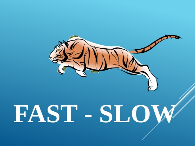 fast - slow