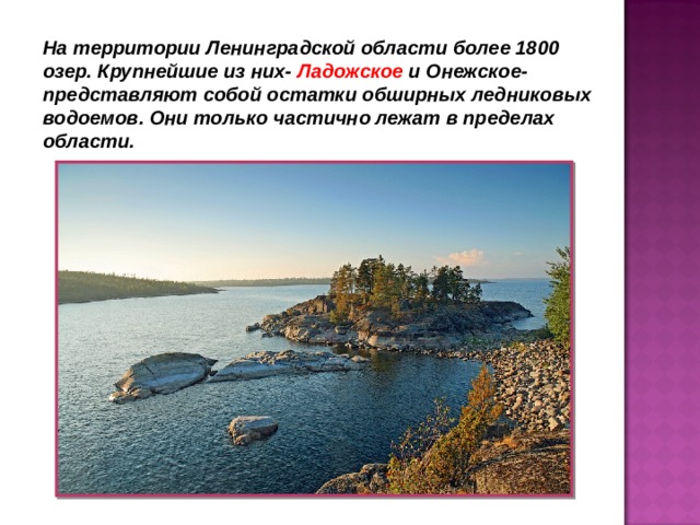 На территории Ленинградской области более 1800 озер. Крупнейшие из них- Ладожское и Онежское- представляют собой остатки обширных ледниковых водоемов. Они только частично лежат в пределах области.