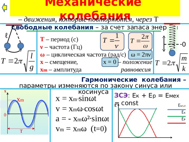 Механические колебания – движения, которые повторяются, через Т Свободные колебания – за счет запаса энергии ℓ Т – период (с) ν – частота (Гц) ω – циклическая частота (рад/с) ω = 2πν х – смещение, х = 0 – положение  х m  – амплитуда равновесия  0  Гармонические колебания –  параметры изменяются по закону синуса или косинуса  ЗСЭ : Е к + Е р = Е мех = const x = x m · sinωt v = x m ω · cosωt a = - x m ω² · sinω t v m = x m ω (t =0 ) x m