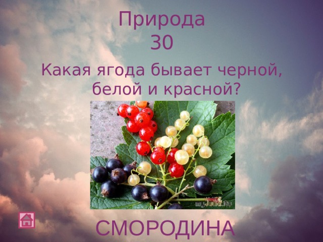 Природа  30 Какая ягода бывает черной, белой и красной? СМОРОДИНА