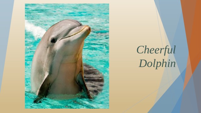 Cheerful Dolphin