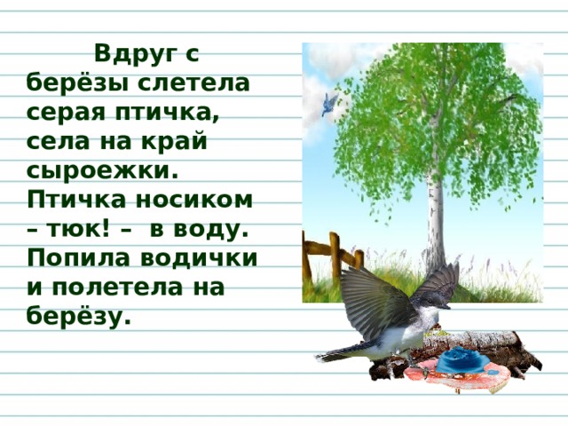 Вдруг с берёзы слетела серая птичка, села на край сыроежки. Птичка носиком – тюк! – в воду. Попила водички и полетела на берёзу.