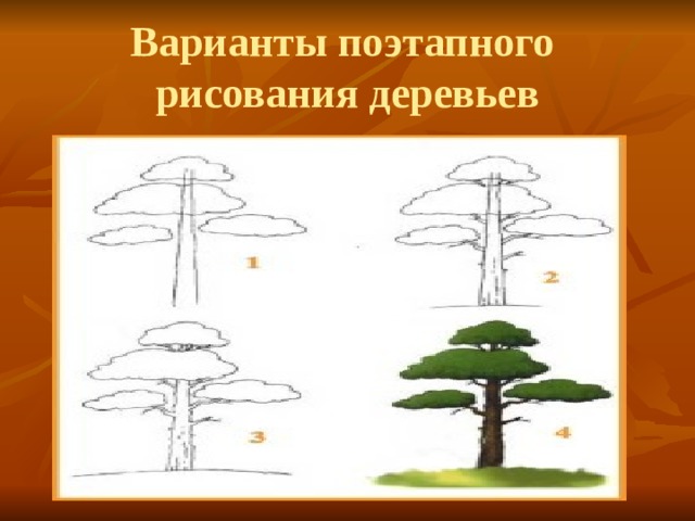 Варианты поэтапного рисования деревьев