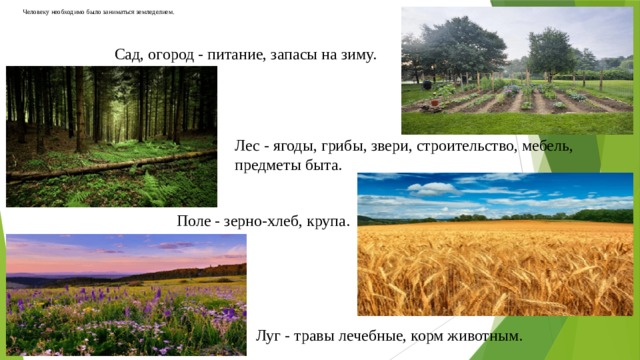 Человеку необходимо было заниматься земледелием.    Сад, огород - питание, запасы на зиму. Лес - ягоды, грибы, звери, строительство, мебель, предметы быта. Поле - зерно-хлеб, крупа. Луг - травы лечебные, корм животным.