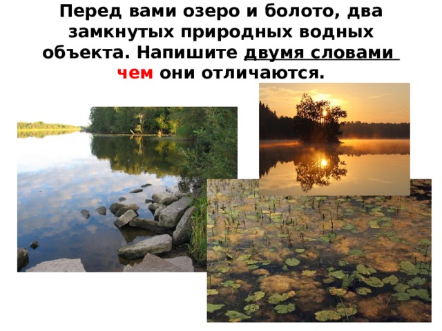 Перед вами озеро и болото, два замкнутых природных водных объекта. Напишите двумя словами чем они отличаются.