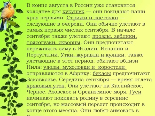 В конце августа в России уже становится холоднее для кукушек — они покидают наши края первыми. Стрижи и ласточки — следующие в очереди. Они обычно улетают в самых первых числах сентября. В начале сентября также улетают дрозды, зяблики, трясогузки, скворцы . Они предпочитают переживать зиму в Италии, Испании и Португалии. Утки, журавли и кулики , также улетающие в этот период, обитают вблизи Нила; удоды, мухоловки и коростели отправляются в Африку; бекасы предпочитают Закавказье. Середина сентября — время отлета кряковых уток . Они улетают на Каспийское, Черное, Азовское и Средиземное моря. Гуси начинают покидать родину в середине сентября, но массовый перелет происходит в конце этого месяца. Они любят зимовать в Крыму.