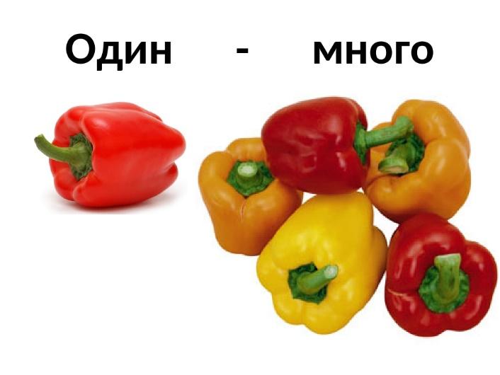 Овощи картинки один много