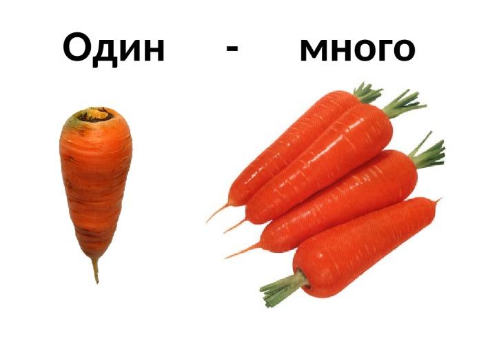 Овощи картинки один много