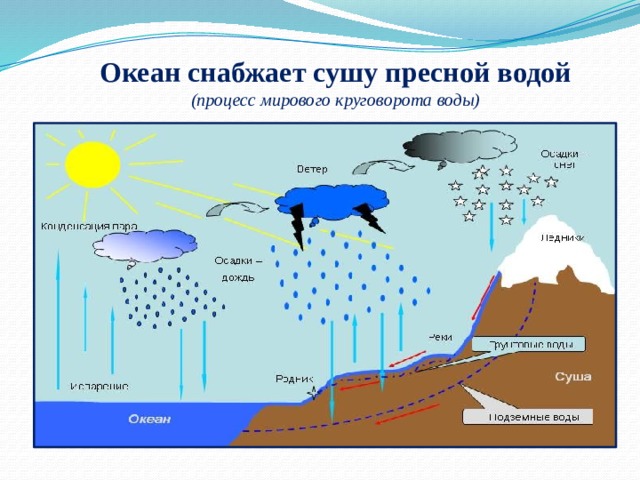 Океан снабжает сушу пресной водой  (процесс мирового круговорота воды)