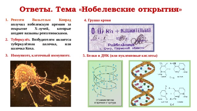 Ответы. Тема «Нобелевские открытия» Рентген Вильгельм Конрад получил нобелевскую премию за открытие Х-лучей, которые позднее названы рентгеновскими.  Туберкулёз . Возбудителем является туберкулёзная палочка, или палочка Коха.  Иммунитет, клеточный иммунитет. 4. Группа крови 5. Белки и ДНК (или нуклеиновые кислоты)