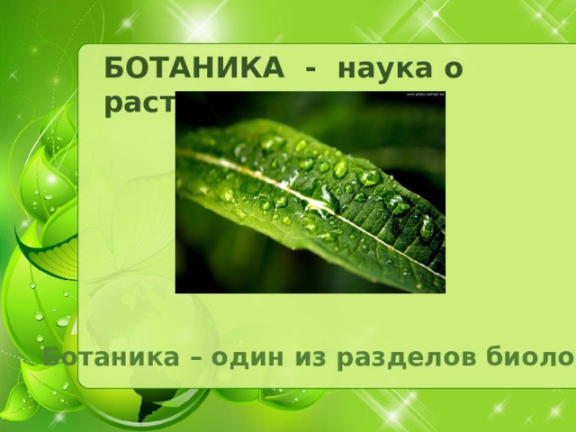 БОТАНИКА - наука о растениях Ботаника – один из разделов биологии