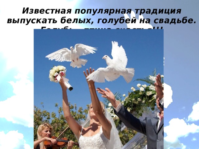 Известная популярная традиция выпускать белых, голубей на свадьбе. Голубь - птица счастья!!!