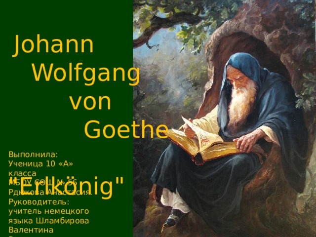 Johann  Wolfgang  von  Goethe  