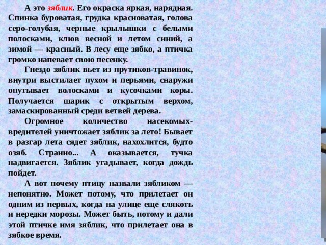 А это зяблик . Его окраска яркая, нарядная. Спинка буроватая, грудка красноватая, голова серо-голубая, черные крылышки с белыми полосками, клюв весной и летом синий, а зимой — красный. В лесу еще зябко, а птичка громко напевает свою песенку.  Гнездо зяблик вьет из прутиков-травинок, внутри выстилает пухом и перьями, снаружи опутывает волосками и кусочками коры. Получается шарик с открытым верхом, замаскированный среди ветвей дерева.  Огромное количество насекомых-вредителей уничтожает зяблик за лето! Бывает в разгар лета сядет зяблик, нахохлится, будто озяб. Странно... А оказывается, тучка надвигается. Зяблик угадывает, когда дождь пойдет.  А вот почему птицу назвали зябликом — непонятно. Может потому, что прилетает он одним из первых, когда на улице еще слякоть и нередки морозы. Может быть, потому и дали этой птичке имя зяблик, что прилетает она в зябкое время.