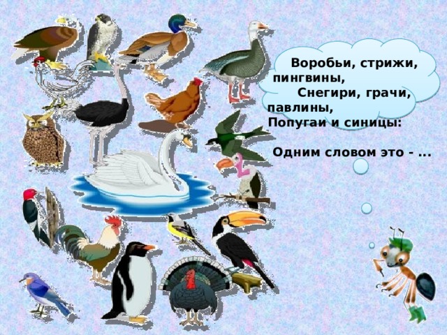 Воробьи, стрижи, пингвины, Снегири, грачи, павлины, Попугаи и синицы: Одним словом это - ...