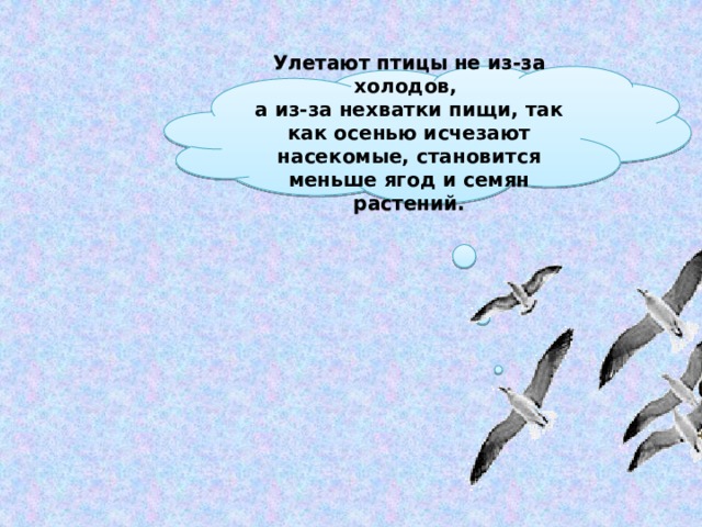 Улетают птицы не из-за холодов, а из-за нехватки пищи, так как осенью исчезают насекомые, становится меньше ягод и семян растений.